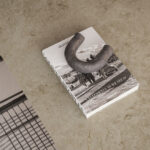 Caesarstone 542 Mosstone Kitchen