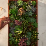 Our EPD - certified Models