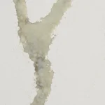 Caesarstone 8104 Calacatta Thyme Icon surface